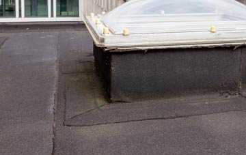 disadvantages of The Mint flat roofs